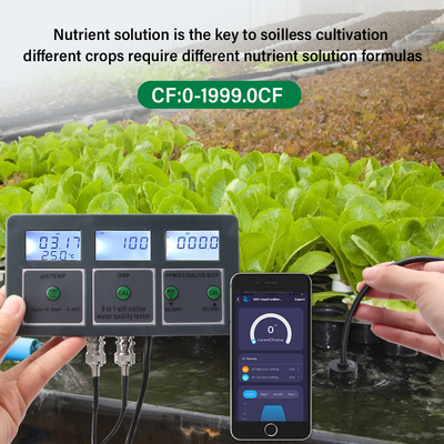 Analizzatore di acqua multifunzione ad alta precisione, pH, EC, ORP, TDS Meter Perfetto per uso domestico e industriale