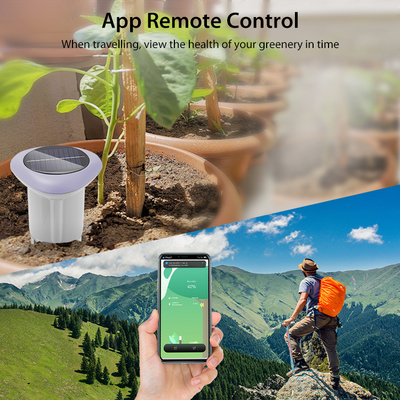 ZigBee 3.0 Sensore del suolo wireless