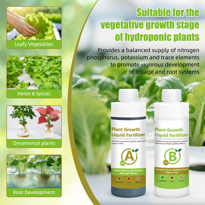 Kit di fertilizzanti liquidi e nutrienti idroponici da 250 ml ad alta precisione per la fase di crescita vegetativa