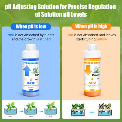 Kit di regolazione del pH idroponico con capacità di 250 ml per un assorbimento ottimale dei nutrienti delle piante e una formula stabile