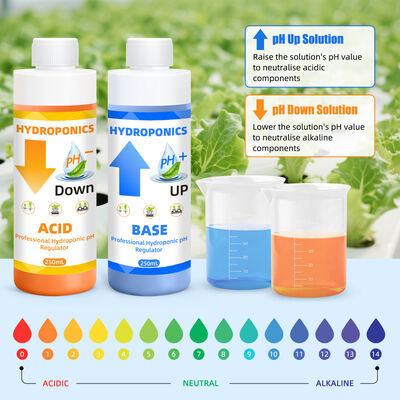 Kit di regolazione del pH idroponico con capacità di 250 ml per un assorbimento ottimale dei nutrienti delle piante e una formula stabile