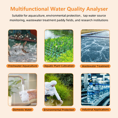 Misuratore di ossigeno disciolto Bluetooth intelligente con intervallo 0~20 mg/L e ricarica magnetica per acquacoltura e laboratori
