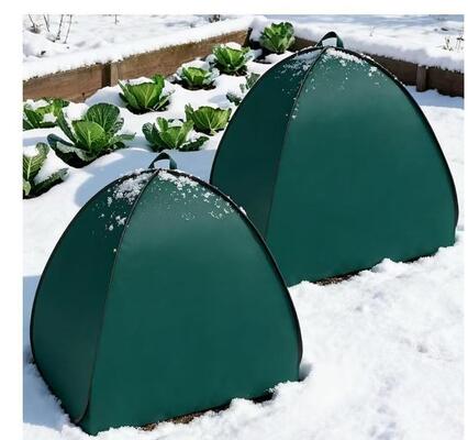 Tenda Pieghevole per la Protezione delle Piante Invernali Anti Gelo Resistente a Vento e Neve per Orto Frutta Fiori